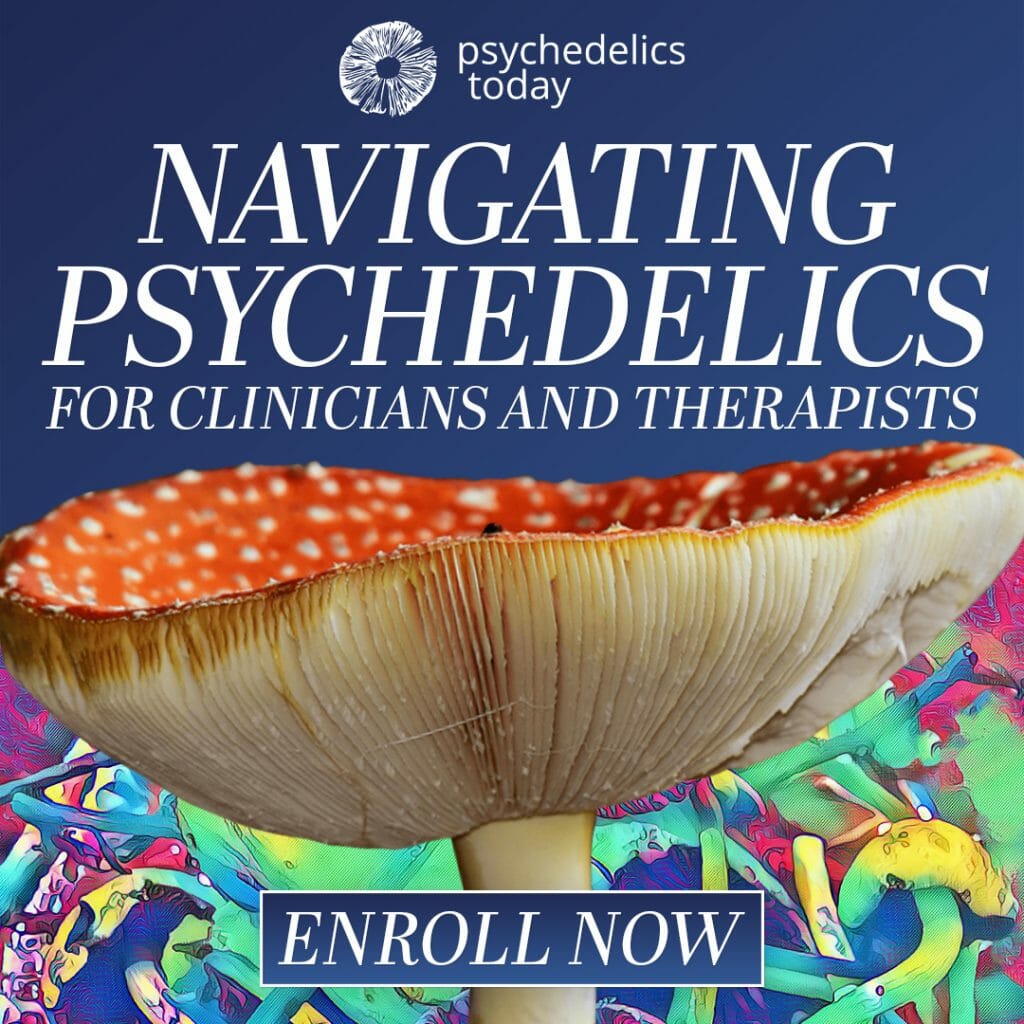 advertisement for the Psychedelics Today course, Navigating Psychedelics for Clinicians and Therapists. Picture of red Amanita Mascara mushroom