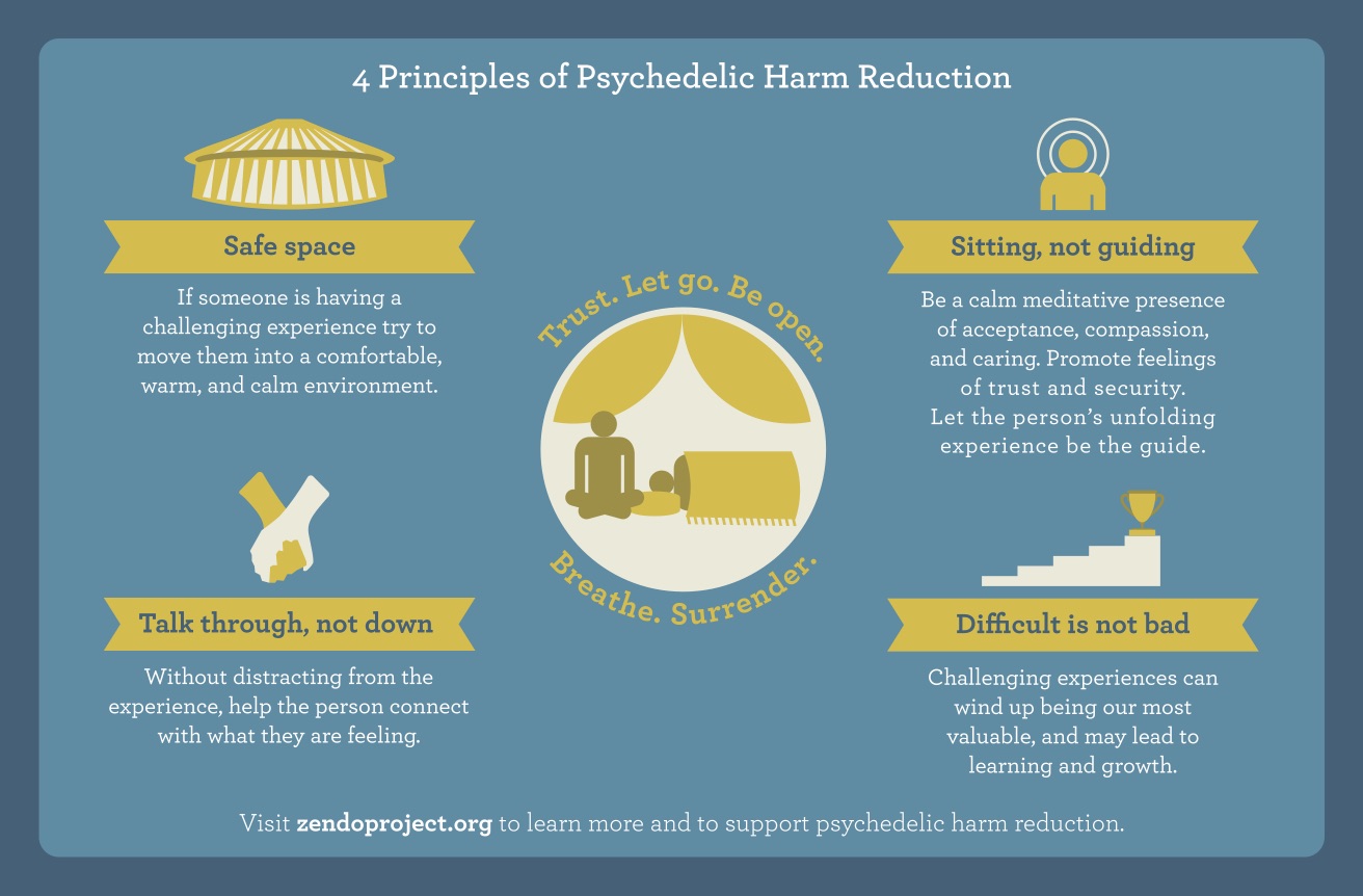 Psychedelic Harm Reduction