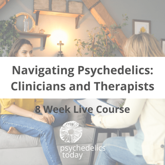 Navigating Psychedelics for Clinicians and Therapists