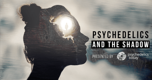 Psychedelics and The Shadow